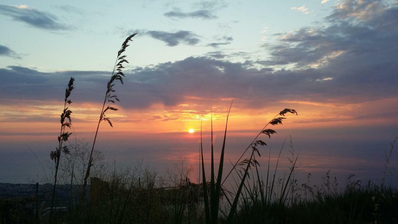 B&B Villa Eleonora Tropea Le Pioppe Eksteriør billede